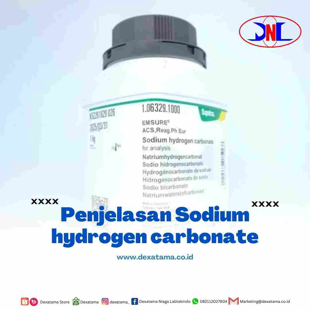 Penjelasan Sodium hydrogen carbonate