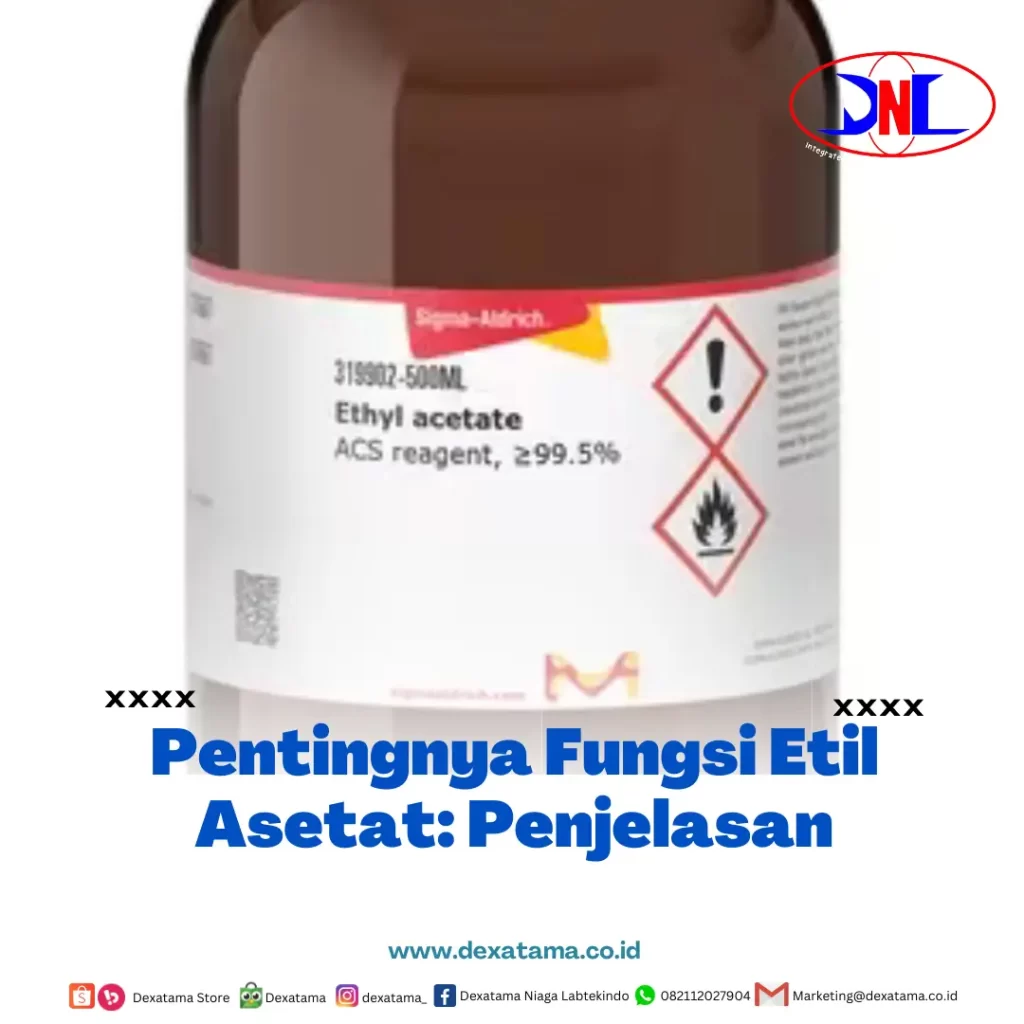 Pentingnya Fungsi Etil Asetat Penjelasan