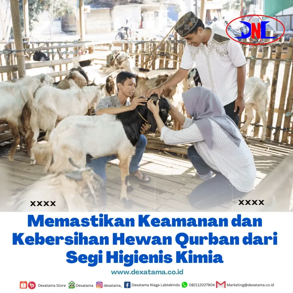 Memastikan Keamanan dan Kebersihan Hewan Qurban dari Segi Higienis Kimia