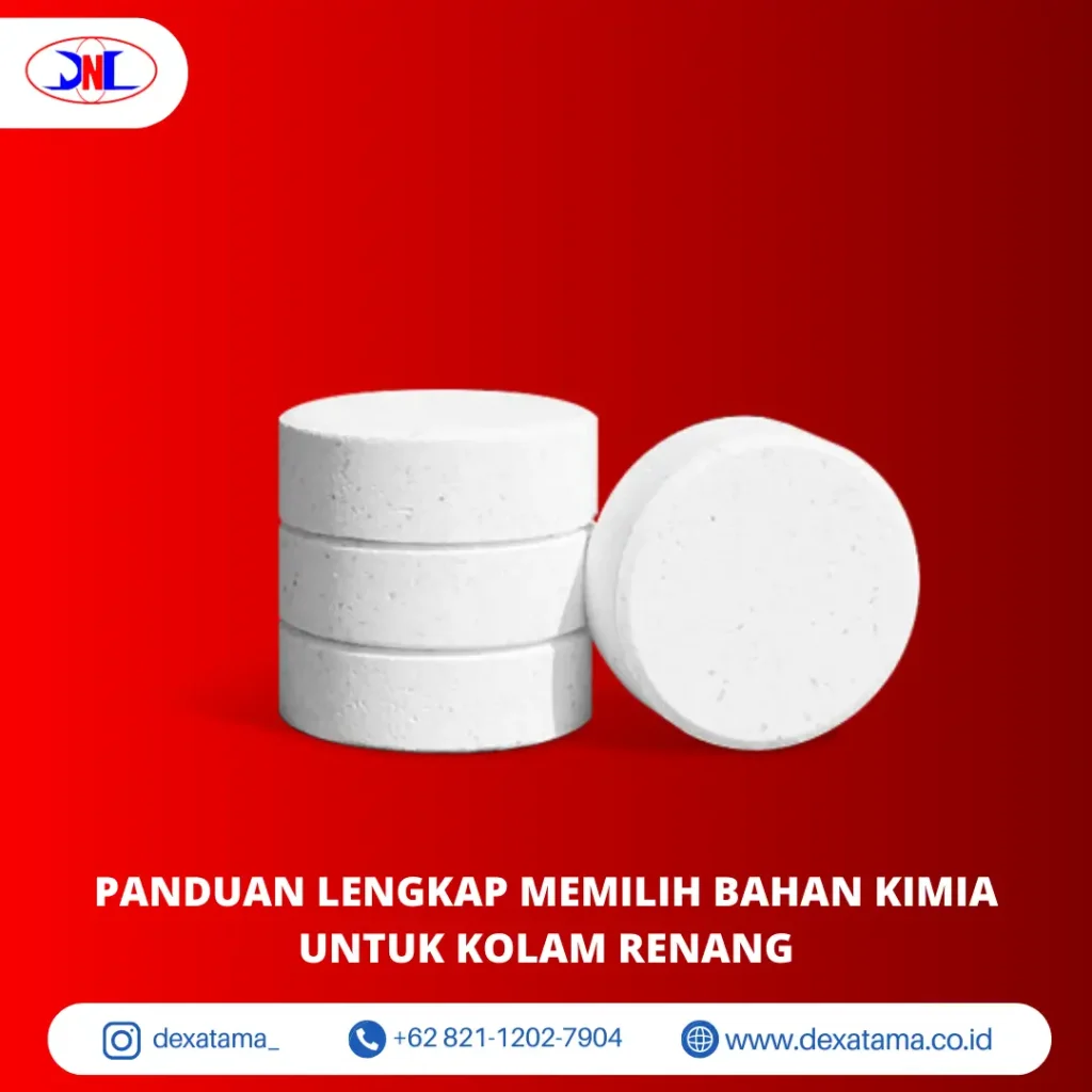 Panduan Lengkap Memilih Bahan Kimia untuk Kolam Renang