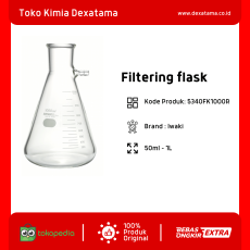 Filtering Flask Iwaki