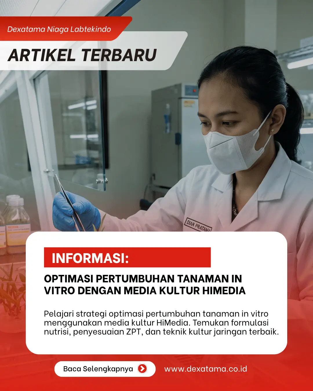 Optimasi Pertumbuhan Tanaman In Vitro dengan Media Kultur HiMedia