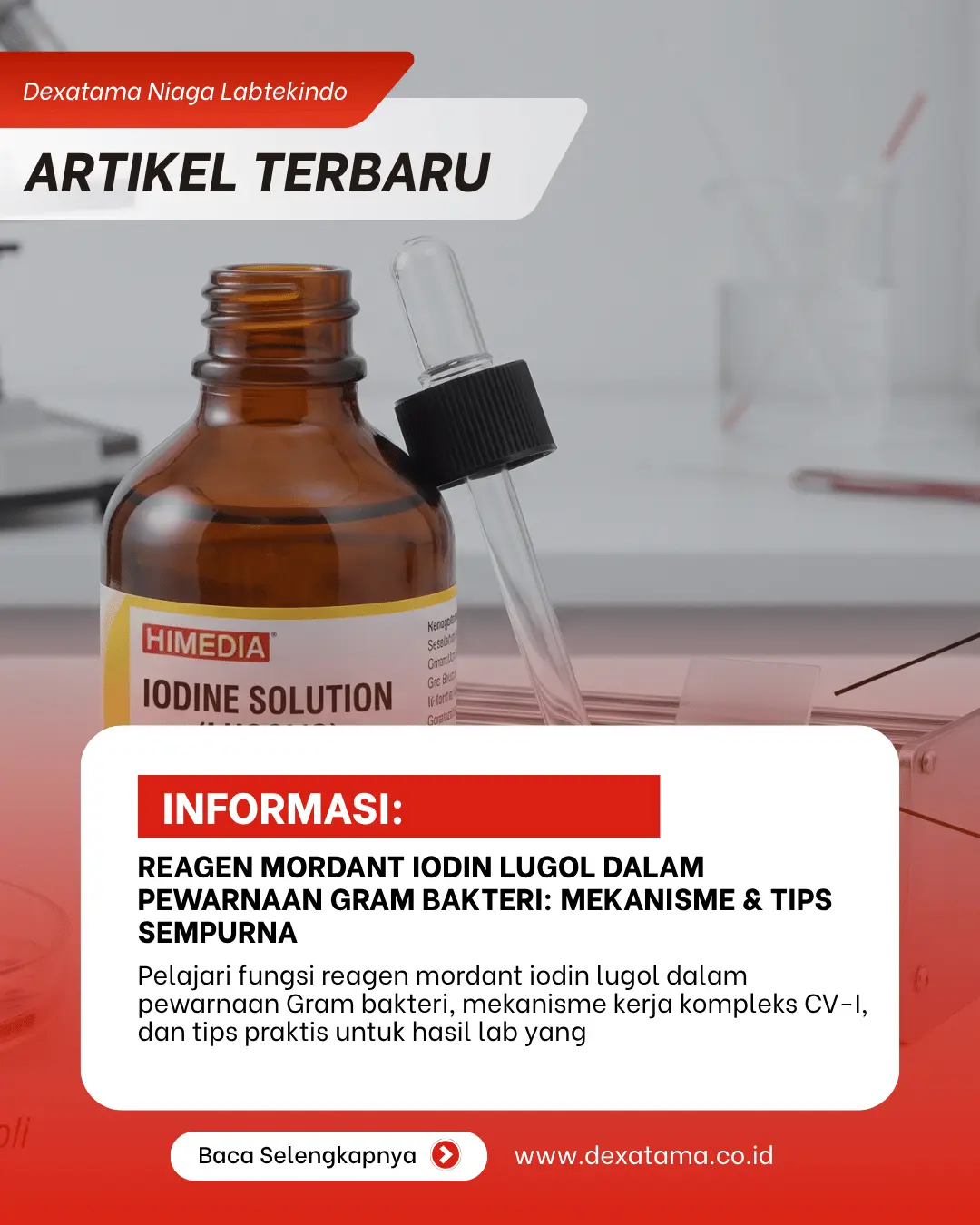 Reagen Mordant Iodin Lugol dalam Pewarnaan Gram Bakteri Mekanisme & Tips Sempurna